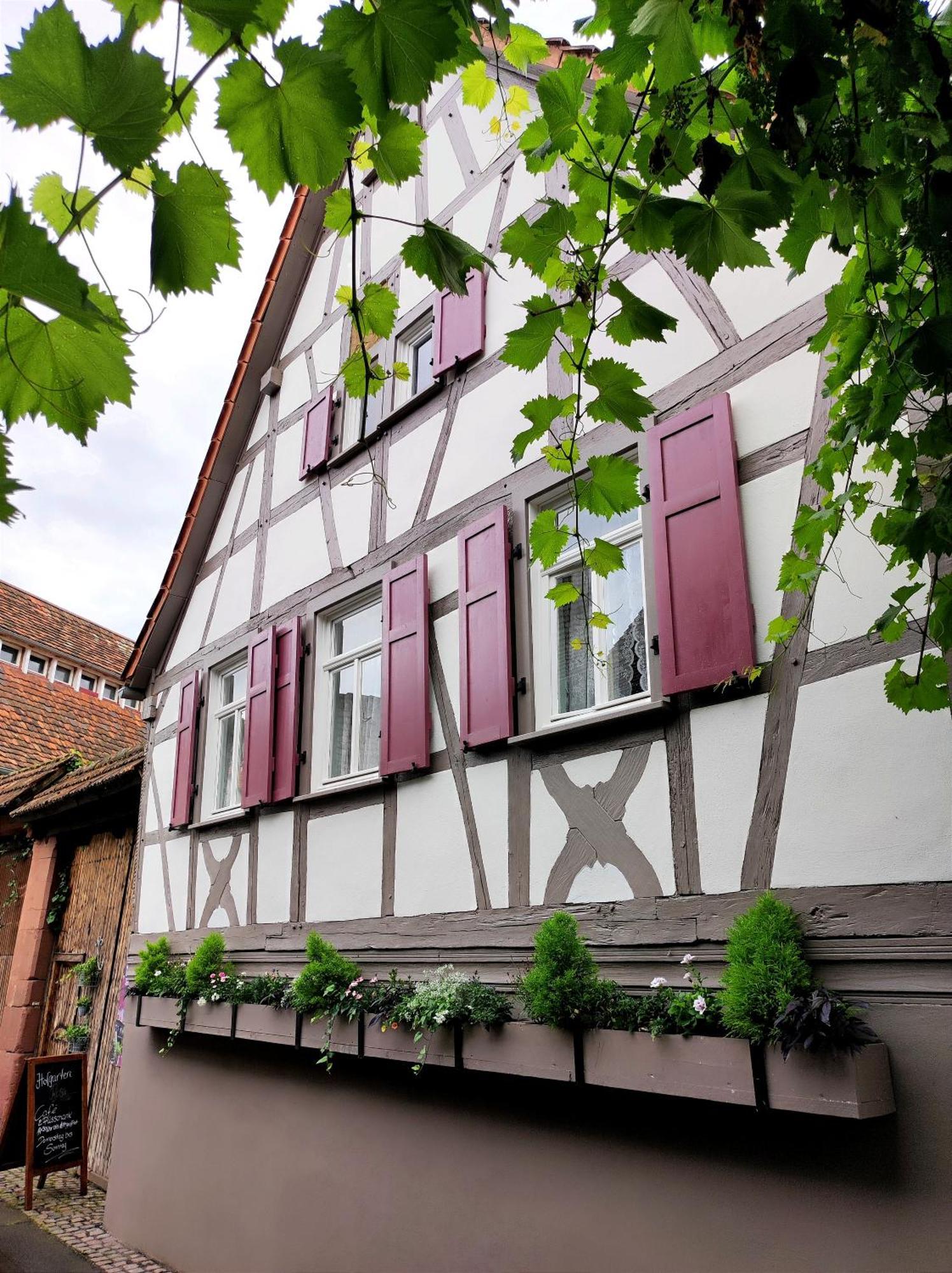 Hofgarten Rosa Ilbesheim bei Landau in der Pfalz Exterior photo