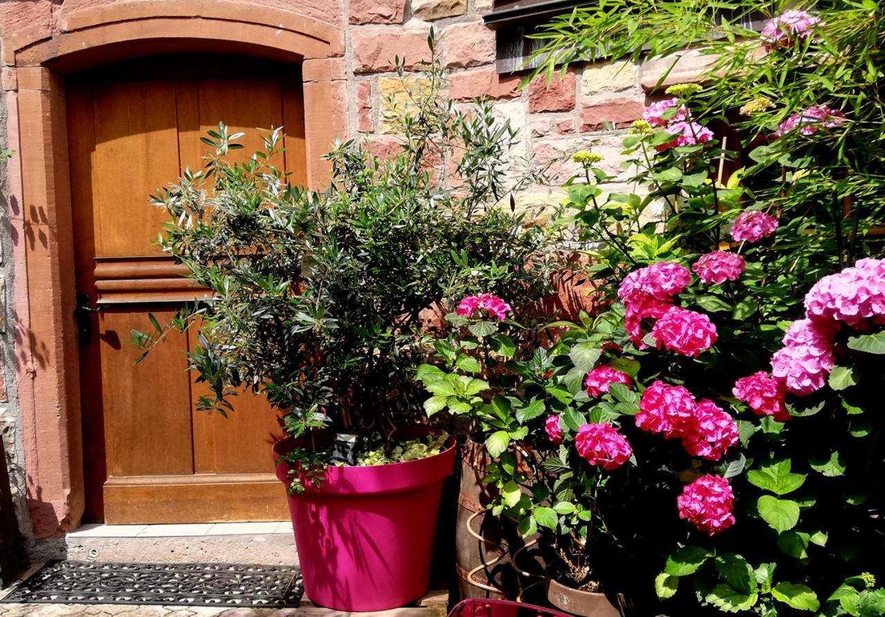 Hofgarten Rosa Ilbesheim bei Landau in der Pfalz Exterior photo